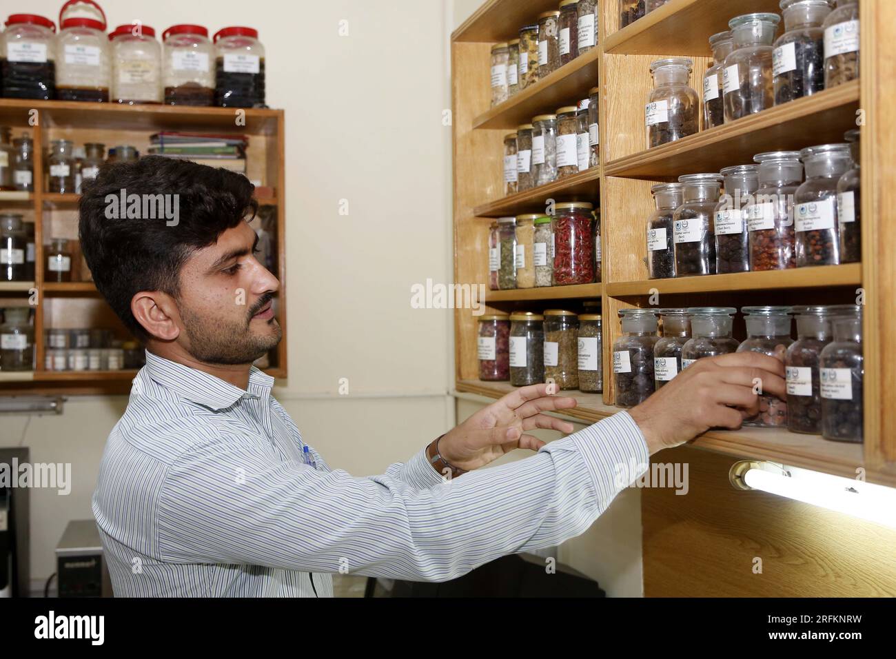 Islamabad, Pakistan. 18 mai 2023. Un étudiant en sciences végétales vérifie des échantillons de plantes séchées de médecine traditionnelle chinoise (MTC) à l'Université Quaid-i-Azam à Islamabad, au Pakistan, le 18 mai 2023. POUR ALLER AVEC 'Feature : les étudiants universitaires poursuivent des recherches sur la MTC pour introduire la médecine alternative au Pakistan' crédit : Ahmad Kamal/Xinhua/Alamy Live News Banque D'Images