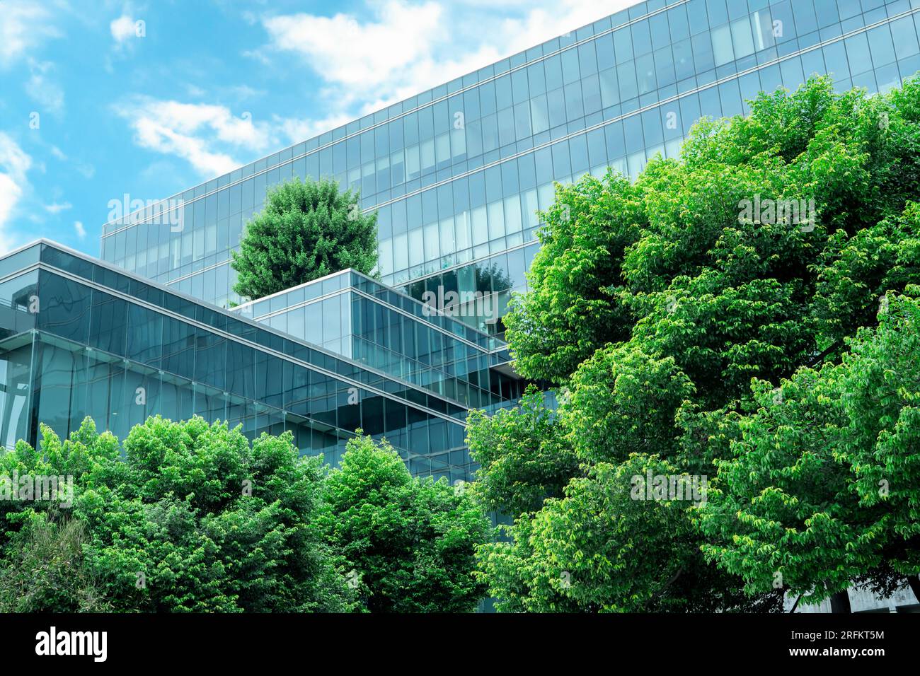 Bâtiment écologique dans la ville moderne. Immeuble de bureaux en verre durable avec arbres pour réduire la chaleur et le dioxyde de carbone. Immeuble de bureaux Banque D'Images