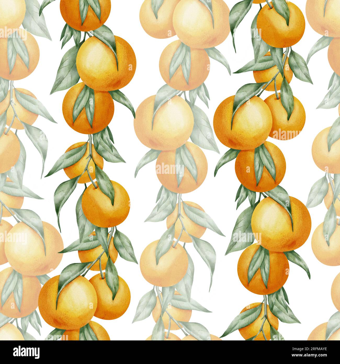 Motif sans couture avec branches de fruits orange, feuilles vertes. Illustration à l'aquarelle dessinée à la main de la nourriture d'agrumes pour le papier d'emballage ou la conception textile. Imprimer avec mandarine sur fond isolé blanc. Banque D'Images