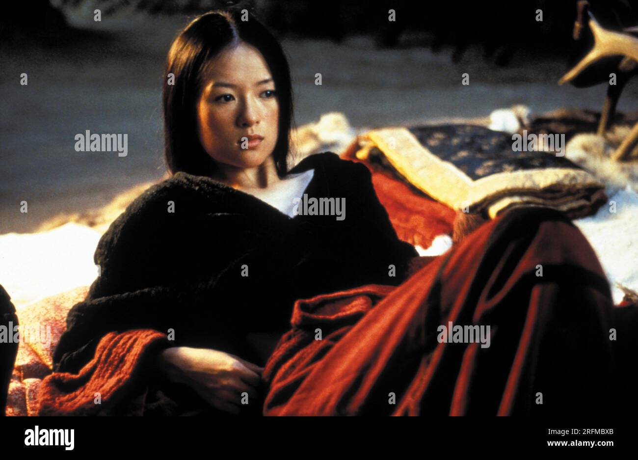 Tigre accroupi, Dragon caché WO hu cang longue année : 2000 Chine réalisateur : Ang Lee Ziyi Zhang Banque D'Images