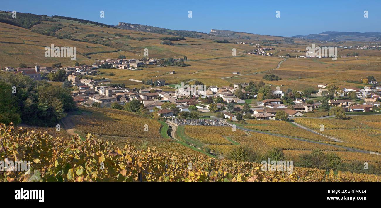 France, Saône-et-Loire (71), Fuissé, village du vignoble du Beaujolais Mâcon villages, Pouilly-Fuissé / France, Saône-et-Loire Fuissé village du vignoble du Beaujolais Mâcon villages, Pouilly-Fuissé Banque D'Images