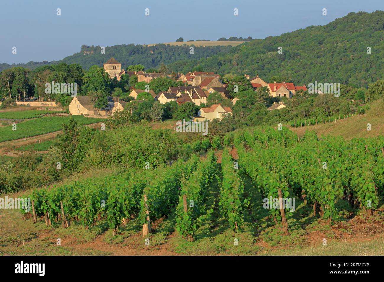 France, Côte-d'Or, Saint-Romain, vue sur le village depuis le vignoble Banque D'Images