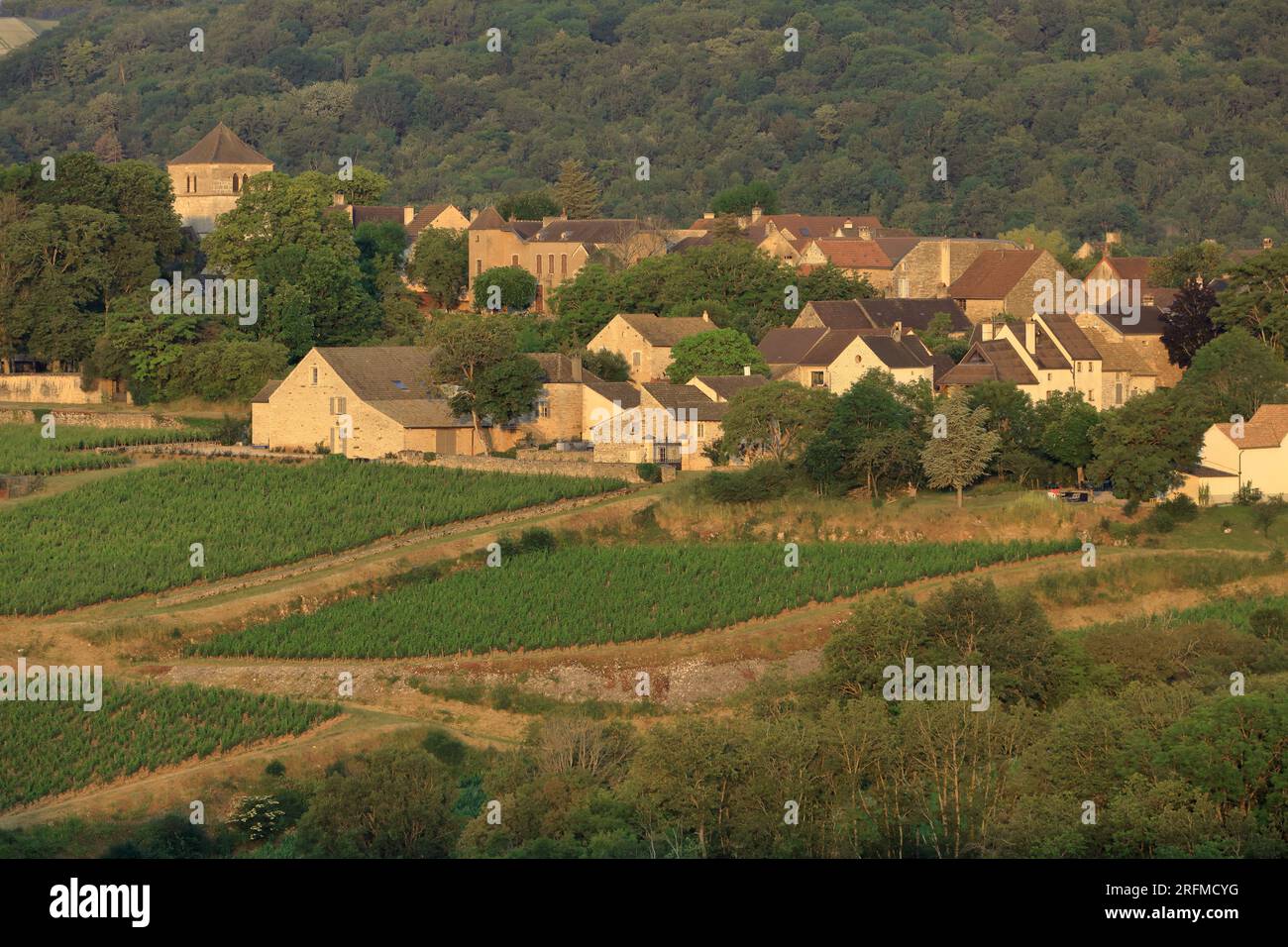 France, Côte-d'Or, Saint-Romain, vue sur le village depuis le vignoble Banque D'Images