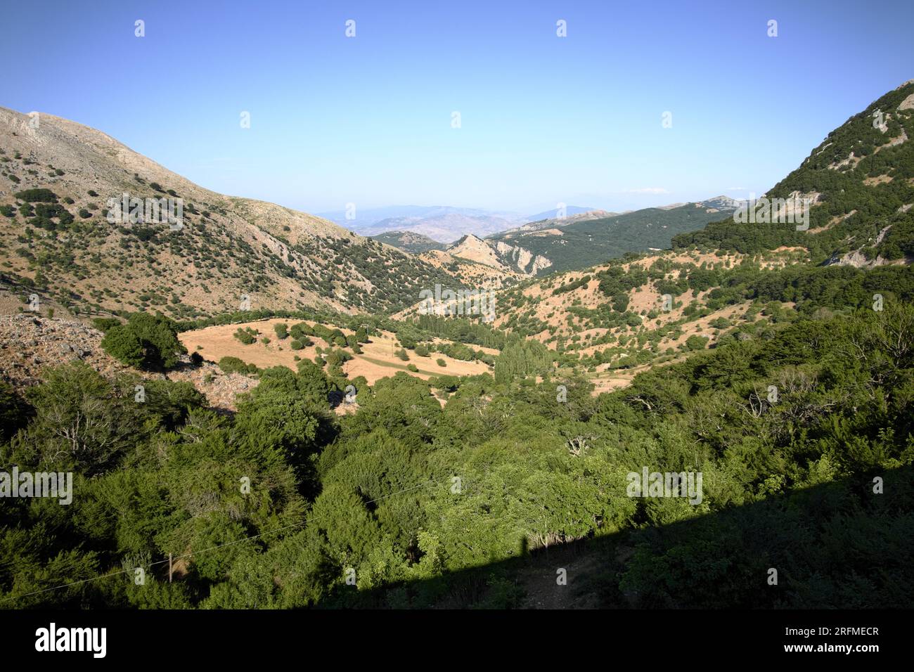 Grande vallée de Faguara dans les montagnes du Parc naturel régional de Madonie, Sicile, Italie Banque D'Images