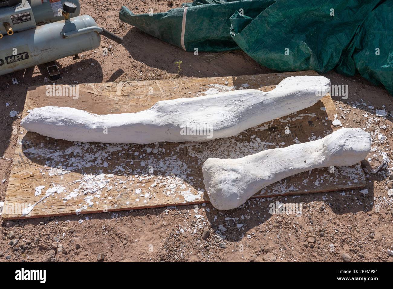 Fossiles d'os de dinosaures enfermés dans du plâtre pour être retirés de la carrière de dinosaures Burpee dans le désert de Caineville près de Hanksville, Utah. Banque D'Images