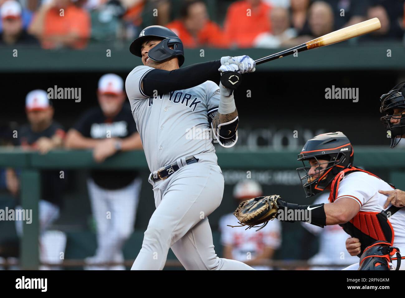 Gleyber Torres (25), infidieur des Yankees de New York, entre en contact avec le terrain en haut de la première manche contre les Orioles de Baltimore le 30 juillet 2023 à Oriole Park à Camden Yards à Baltimore MD. (Alyssa Howell/image of Sport) Banque D'Images