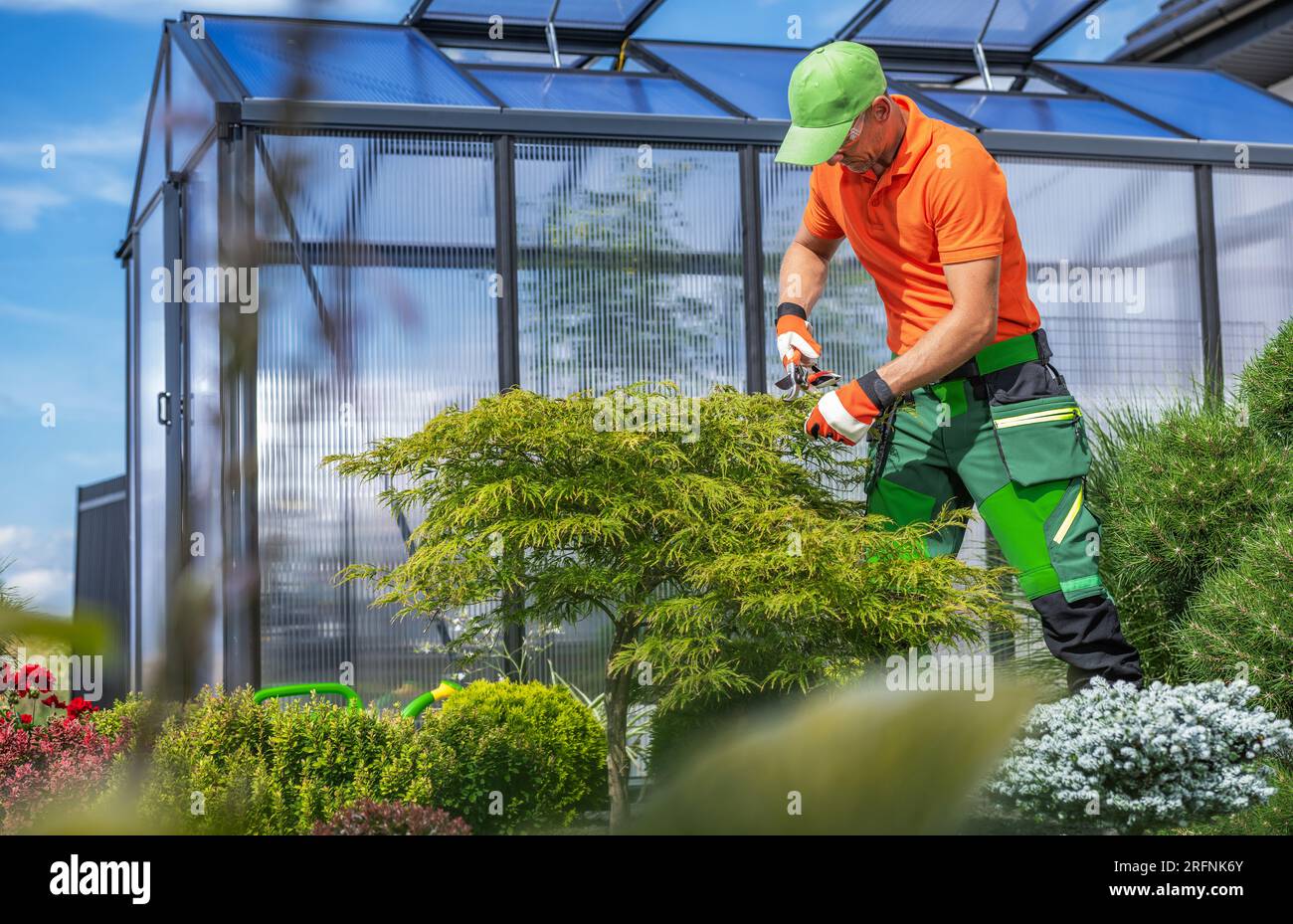 Travailleur de jardin prenant soin des plantes de jardin de cour arrière à côté d'une serre Banque D'Images