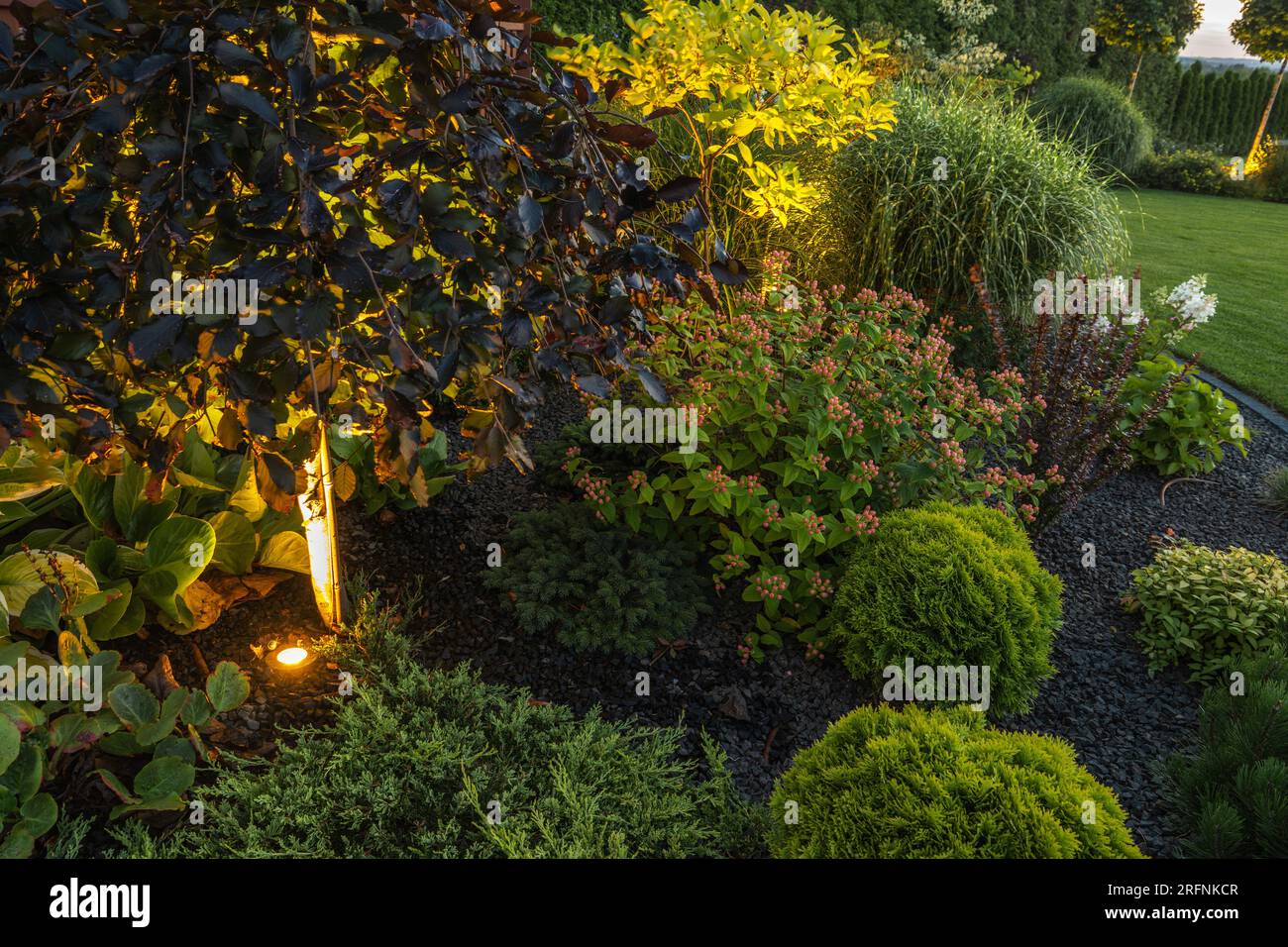 Jardin d'arrière-cour coloré élégant éclairé par un système d'éclairage LED moderne. Banque D'Images