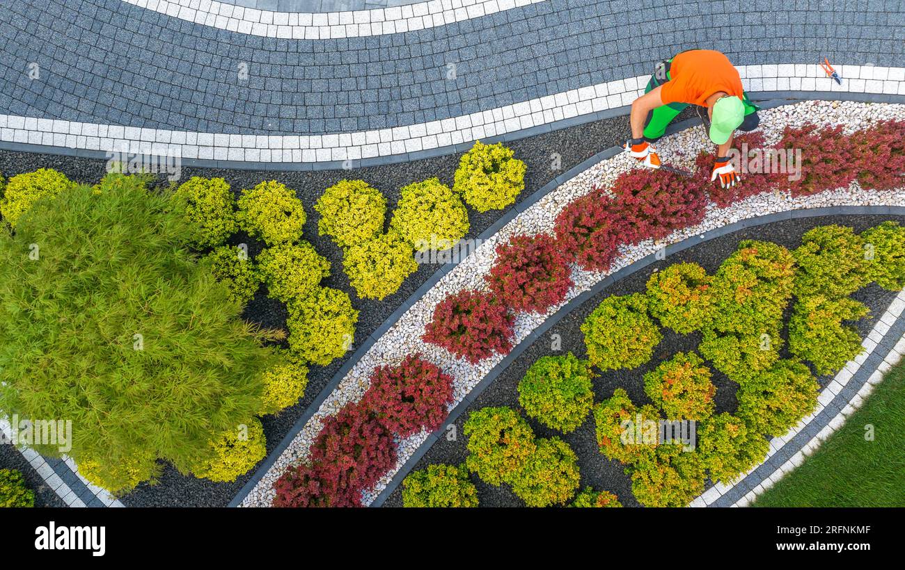 Vue aérienne de Caucasian Gardener dans ses plantes de jardin Shaping Back Yard de 40 utilisant Cordless Trimmer Banque D'Images