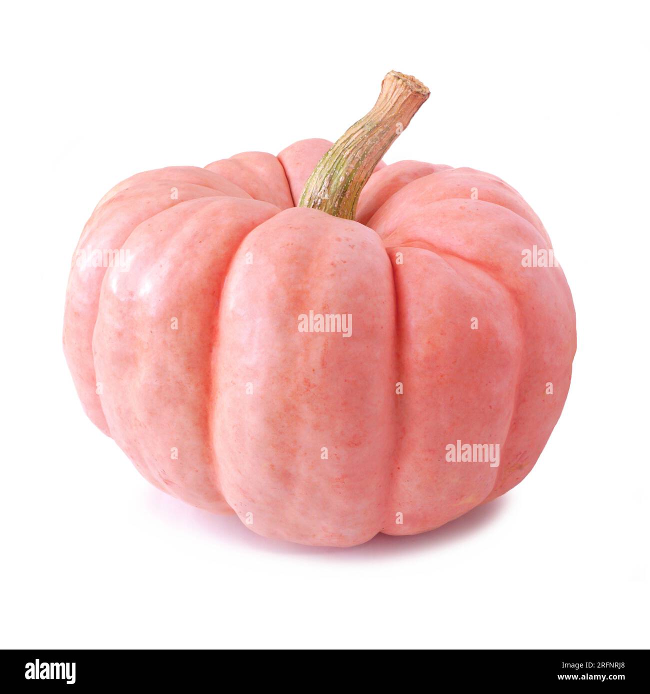 Citrouille d'automne rose isolée sur un fond blanc. Variété de poupée en porcelaine. Banque D'Images