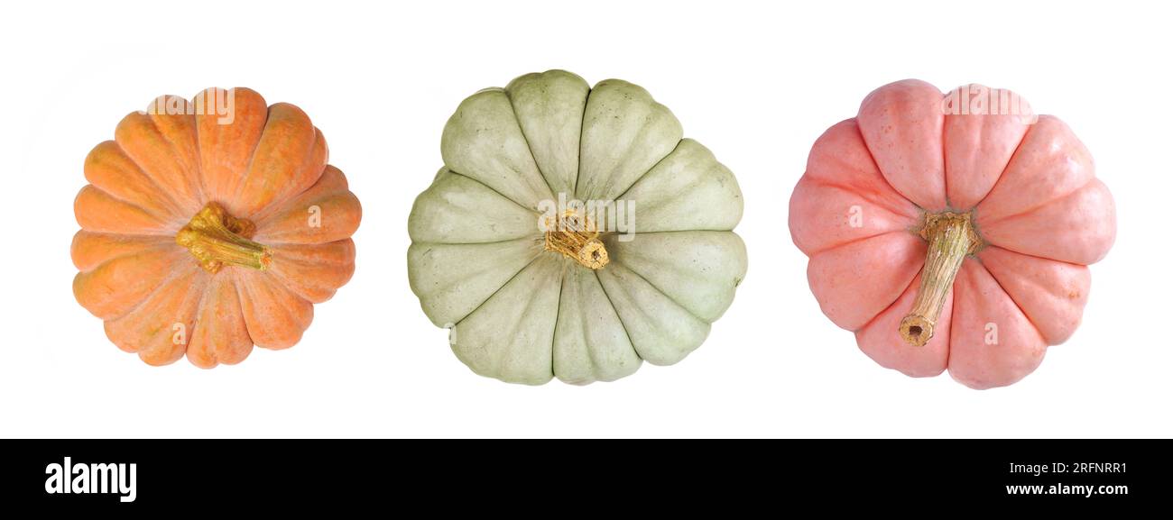 Citrouilles d'automne, vue de dessus isolé sur un fond blanc. Assortiment de variétés héritées orange, vertes et roses. Givre d'automne, poupée bleue et porcelaine Banque D'Images