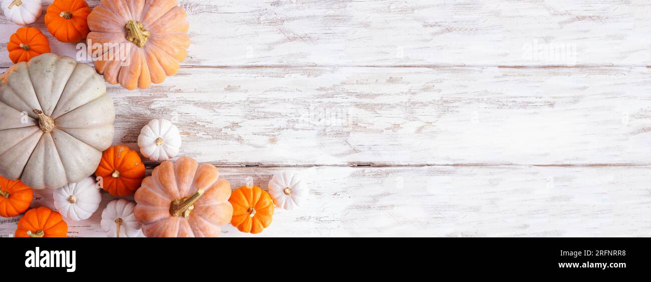 Bordure de coin d'automne de citrouilles de différentes tailles et couleurs sur un fond de bannière en bois blanc rustique. Vue ci-dessus avec espace de copie. Banque D'Images
