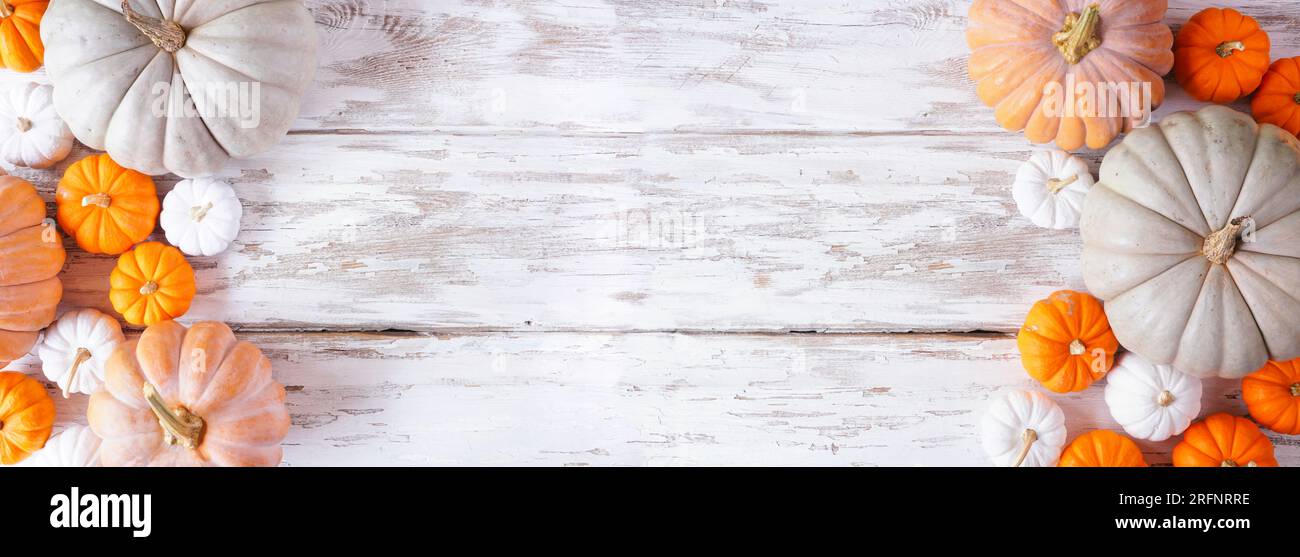 Double bordure d'automne de citrouilles de différentes tailles et couleurs sur un fond de bannière en bois blanc rustique. Vue de haut en bas avec espace de copie. Banque D'Images