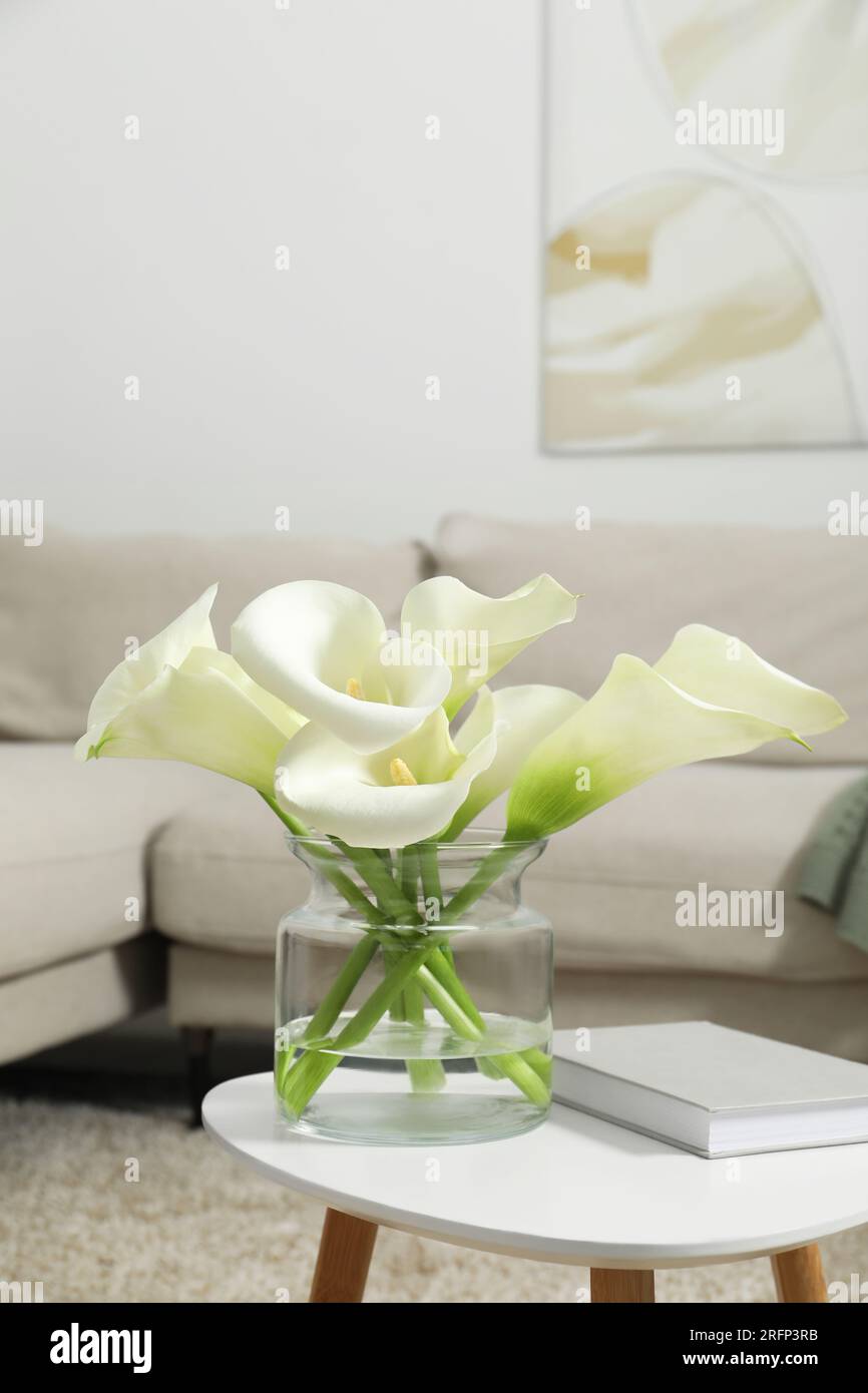Belles fleurs de lys calla dans un vase en verre et livre sur une table  blanche à l'intérieur Photo Stock - Alamy