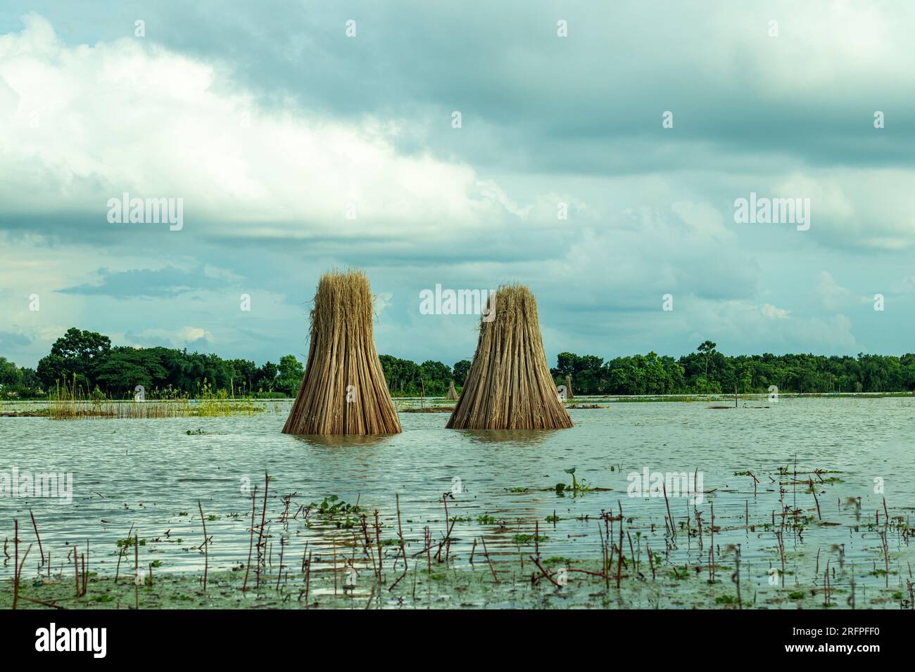 Paysage avec vue sur le lac. La poudre de charbon de bâton de jute est fabriquée à partir de bâton de jute, après carbonisation anaérobie à haute température Banque D'Images