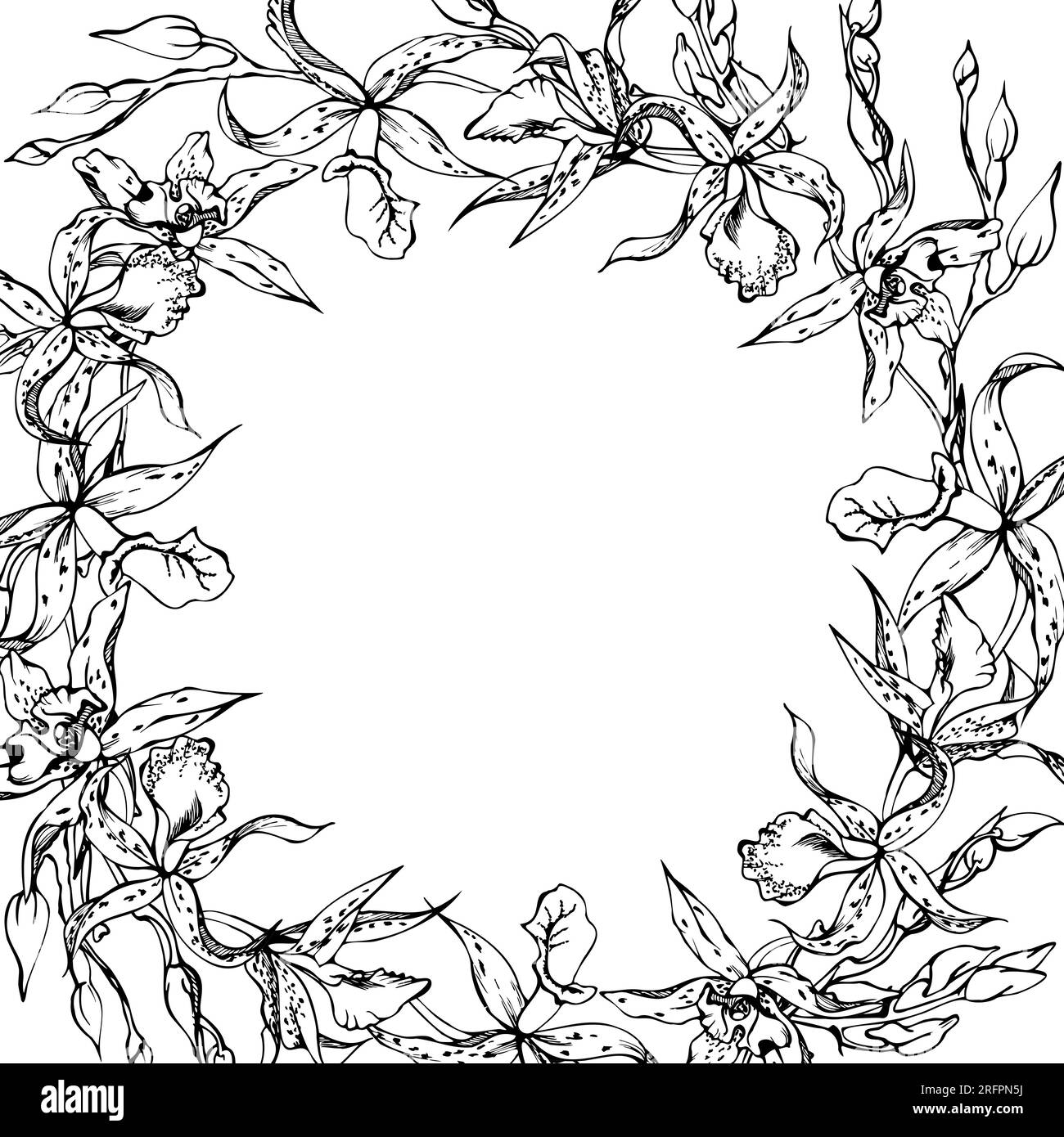 Fleurs et branches d'orchidées à encre vectorielle dessinées à la main, monochrome, contour détaillé. Composition de couronne circulaire. Isolé sur fond blanc. Conception pour Illustration de Vecteur