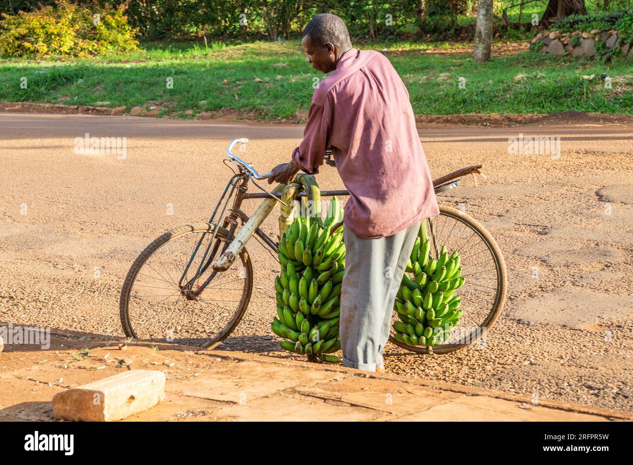 Homme chargeant son vélo avec des bouquets de bananes achetés au marché de Jinja, en Ouganda Banque D'Images