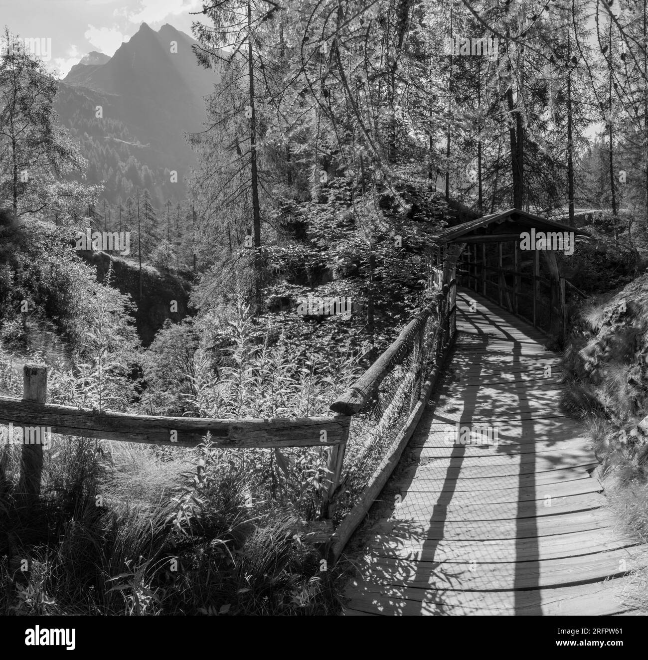 Le pont de pied en bois dans la vallée de Valsesia près de Riffigio Pastore chalent - Italie. Banque D'Images