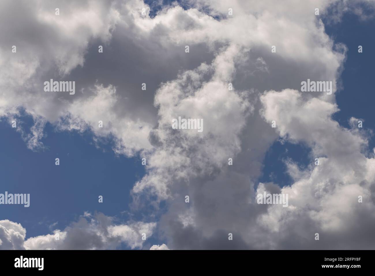 Nuages flottant à travers le ciel dans la journée, nuages blancs se déplaçant du vent en hauteur Banque D'Images