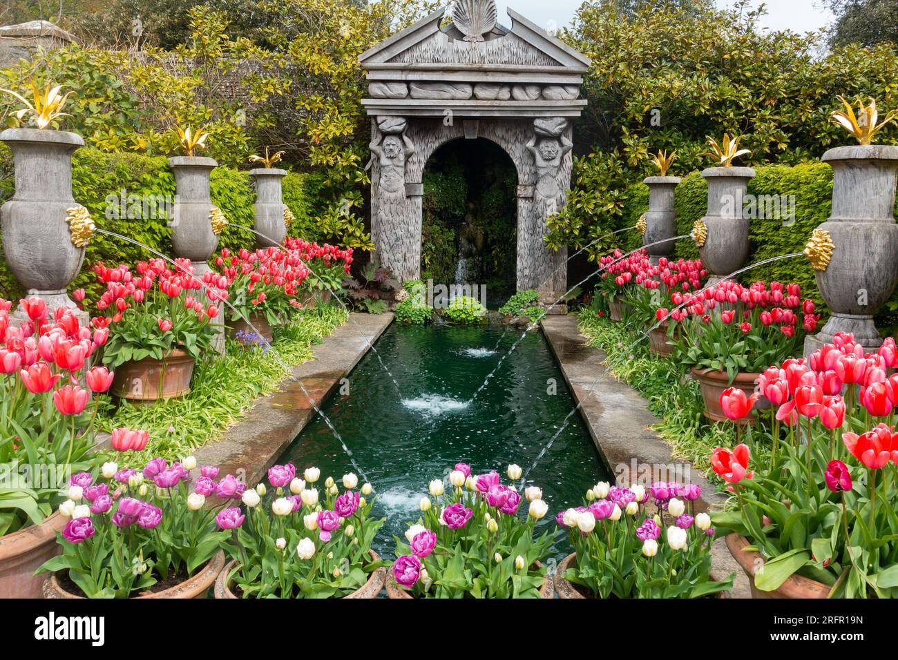 Tulipes exposées dans le jardin d'Earl's au château d'Arundel Banque D'Images