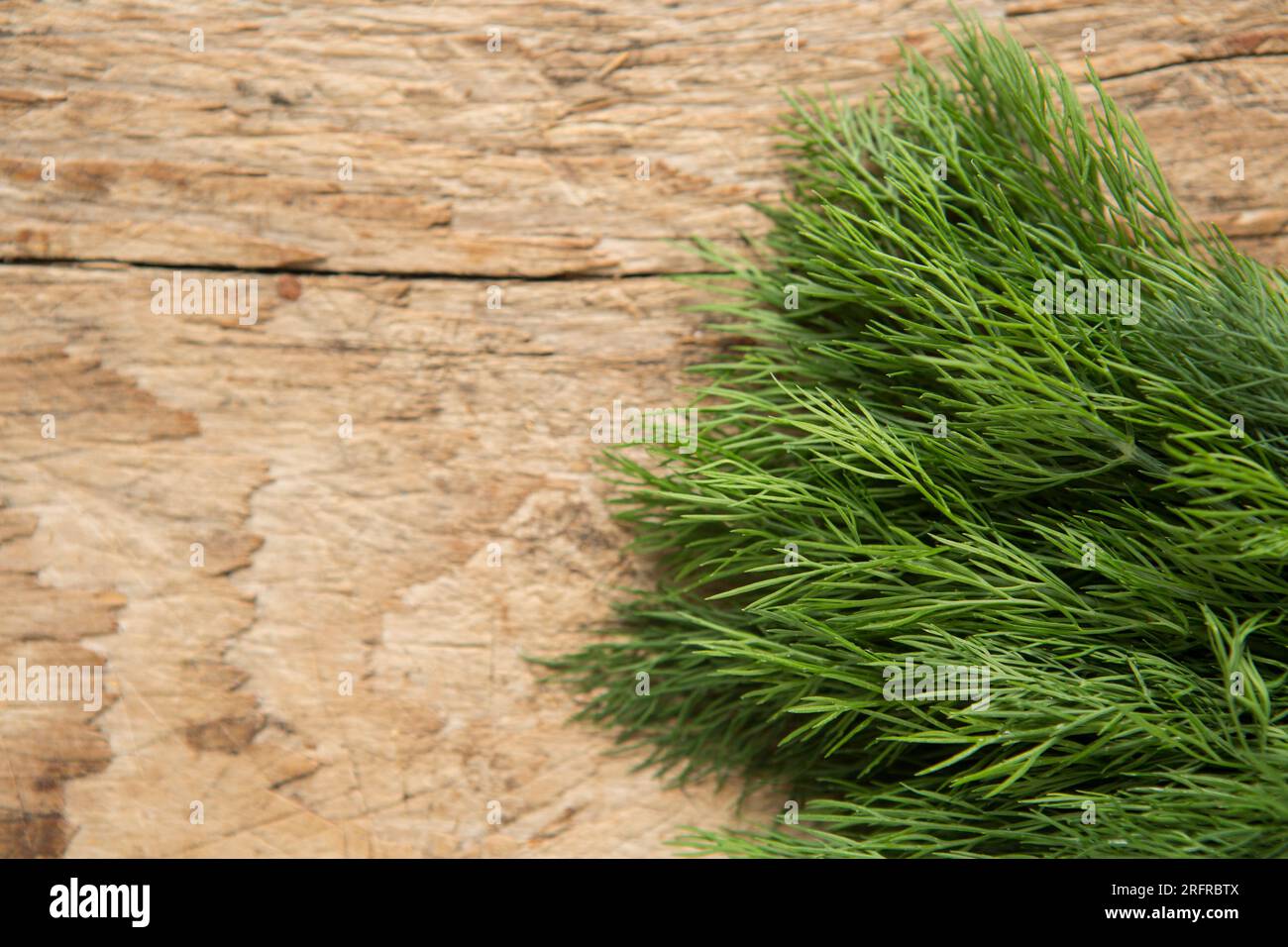 Aneth frais cultivé en Angleterre acheté dans un supermarché au Royaume-Uni exposé sur une planche à découper en bois. Angleterre Royaume-Uni GB Banque D'Images