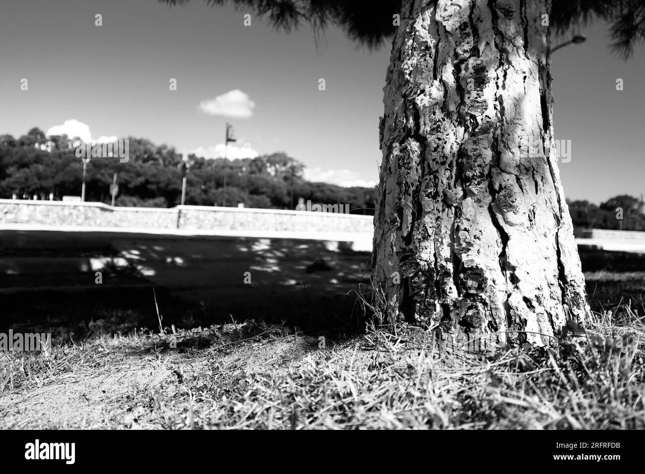 Ombres et lumières Banque D'Images