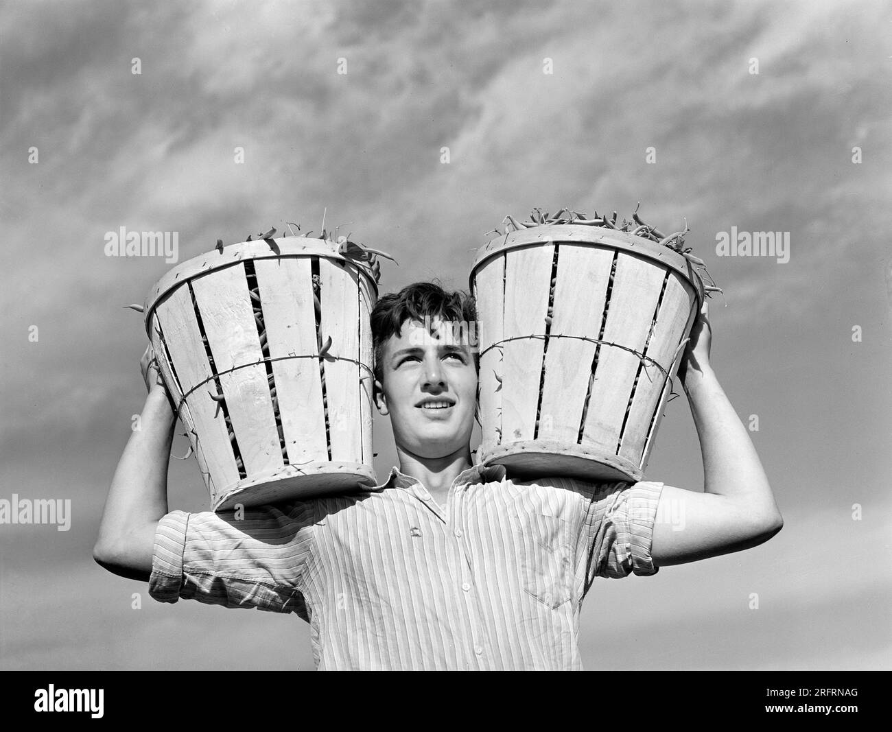 Travailleur sur le terrain avec deux paniers de haricots, Seabrook Farms, Bridgeton, New Jersey, États-Unis, Arthur Rothstein, États-Unis Farm Security Administration, juin 1942 Banque D'Images