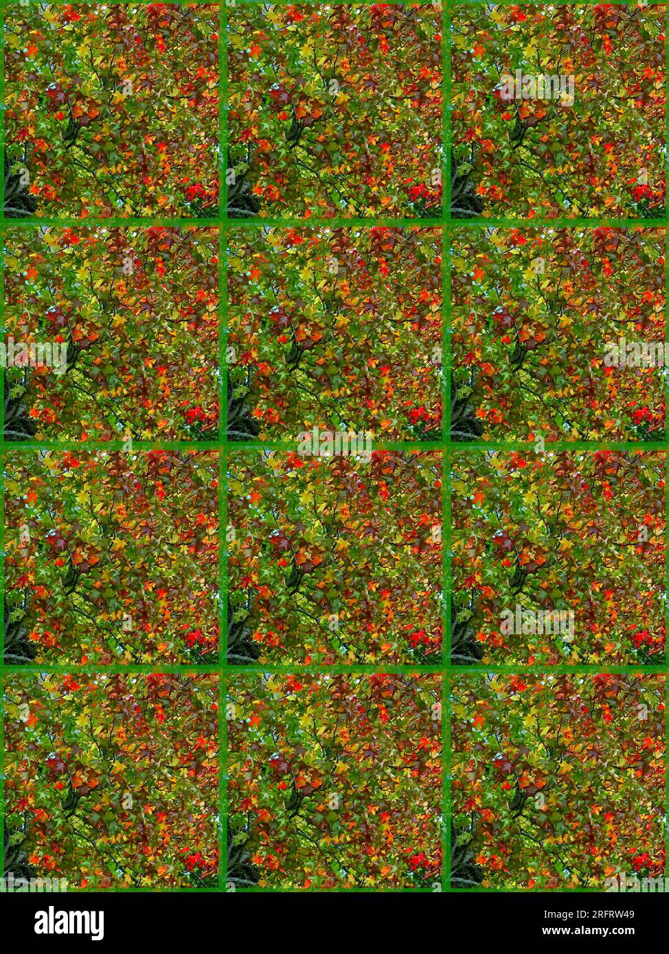 Toile de fond : rouge, vert, jaune, brun, feuilles d'érable. Fond feuillu vertical. Conception sous forme de panneaux. Banque D'Images