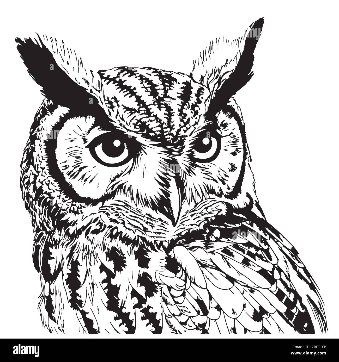 Hibou visage d'oiseau sauvage esquisse dessinée à la main Predator Vector Illustration de Vecteur
