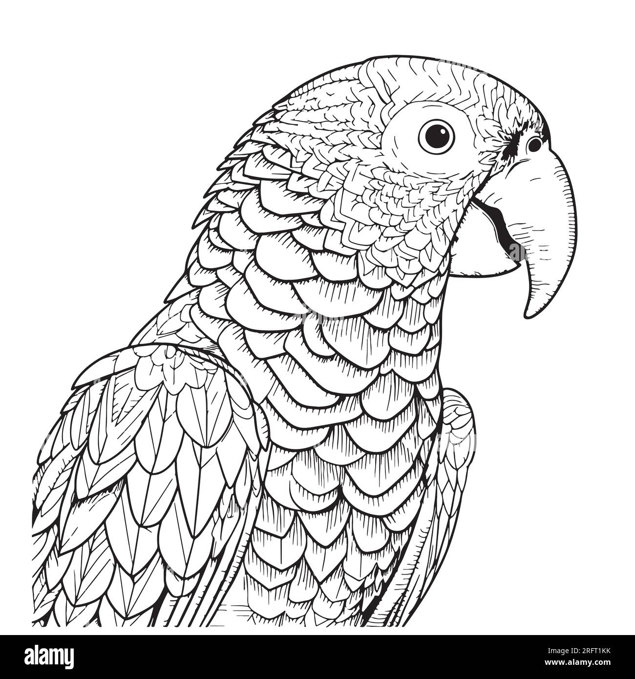 Beau visage de perroquet dessin à la main oiseau Vector Illustration exotique Illustration de Vecteur