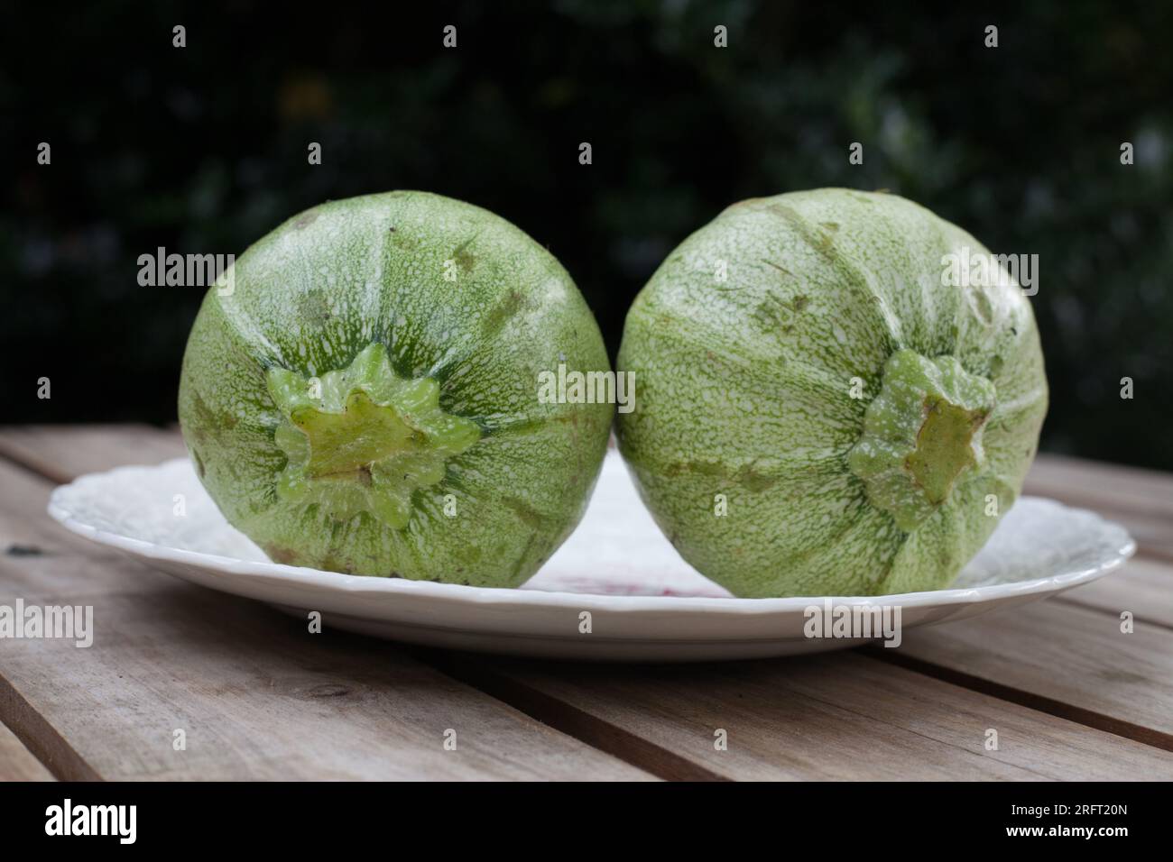 Une paire presque assortie de courgettes rondes globulaires - fruits et légumes comiques Banque D'Images