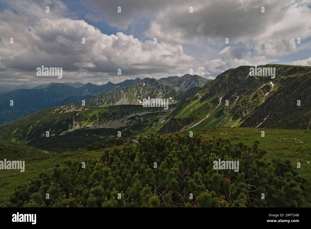 Vue sur les sommets des hautes montagnes environnantes de la montagne Brestová près de la ville Zuberec. Rohace, Tatra haute montagne, Slovaquie. Banque D'Images