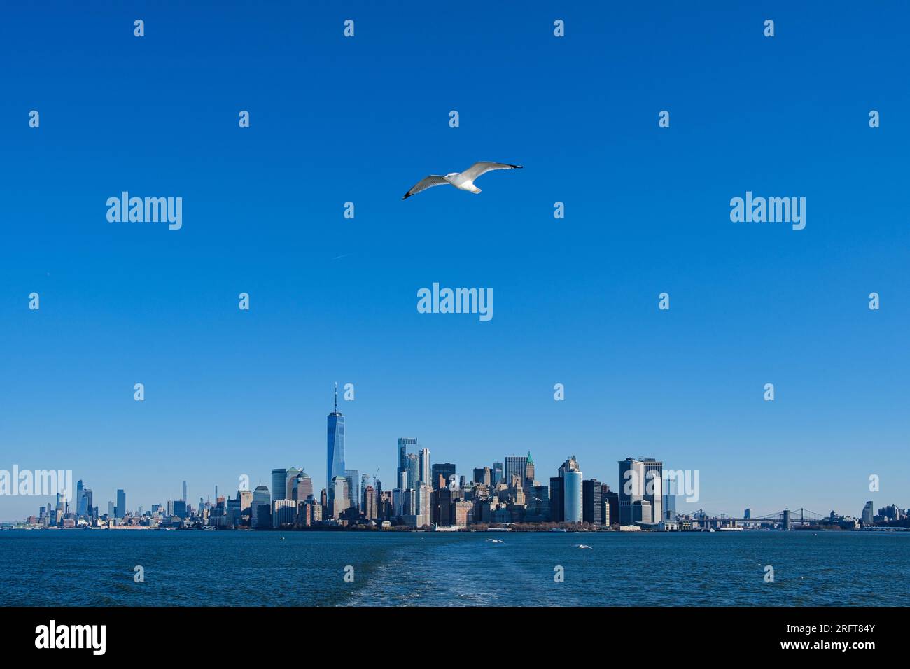 Seagull s'élance de Manhattan, cherchant consolation dans un ciel ouvert. Évasion urbaine et liberté retrouvée Banque D'Images