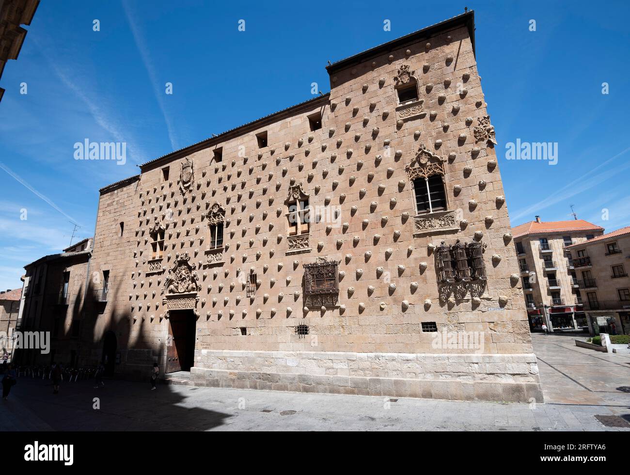 Casa de las Conchas palacio del renacimiento y Actual biblioteca publica de Salamanca Banque D'Images