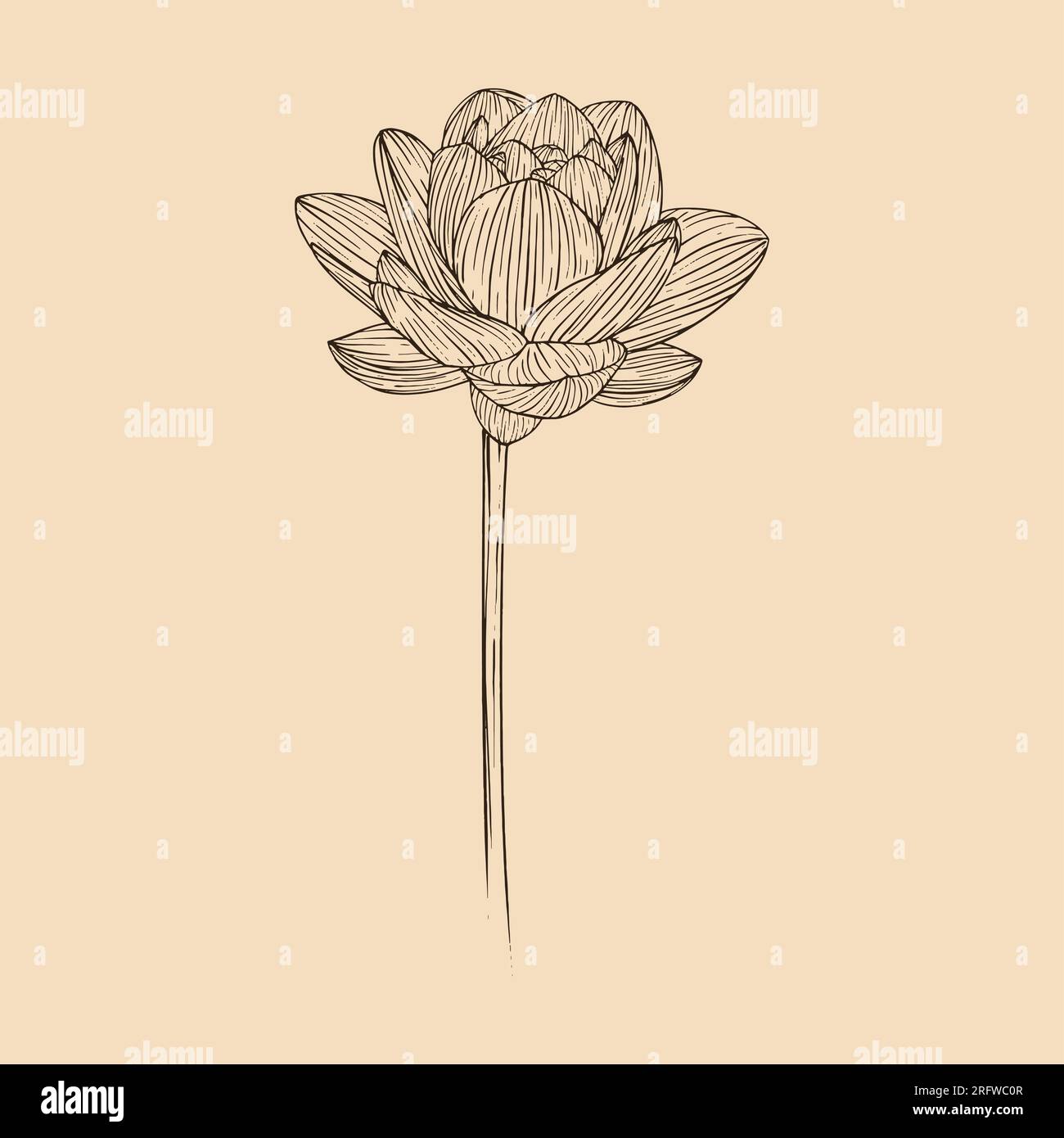 Illustration vectorielle de fleur de Lotus avec art au trait Illustration de Vecteur