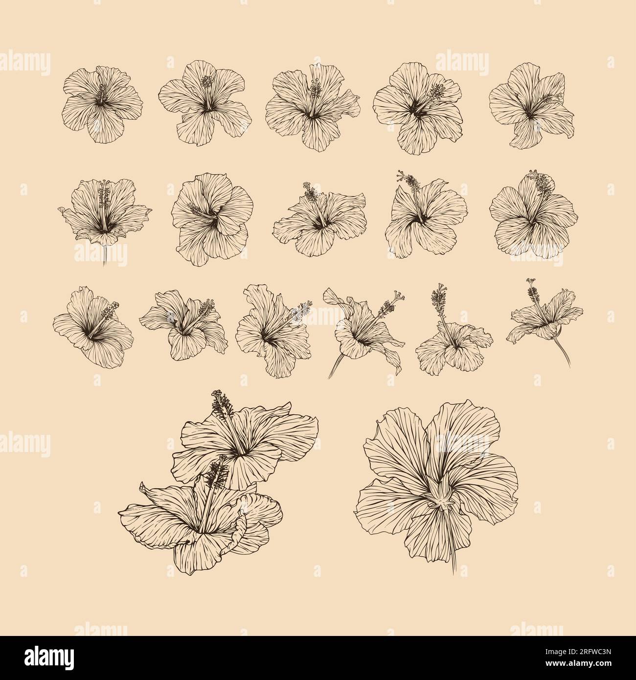 Définir l'illustration vectorielle de collection de fleurs hibiscus avec dessin au trait Illustration de Vecteur