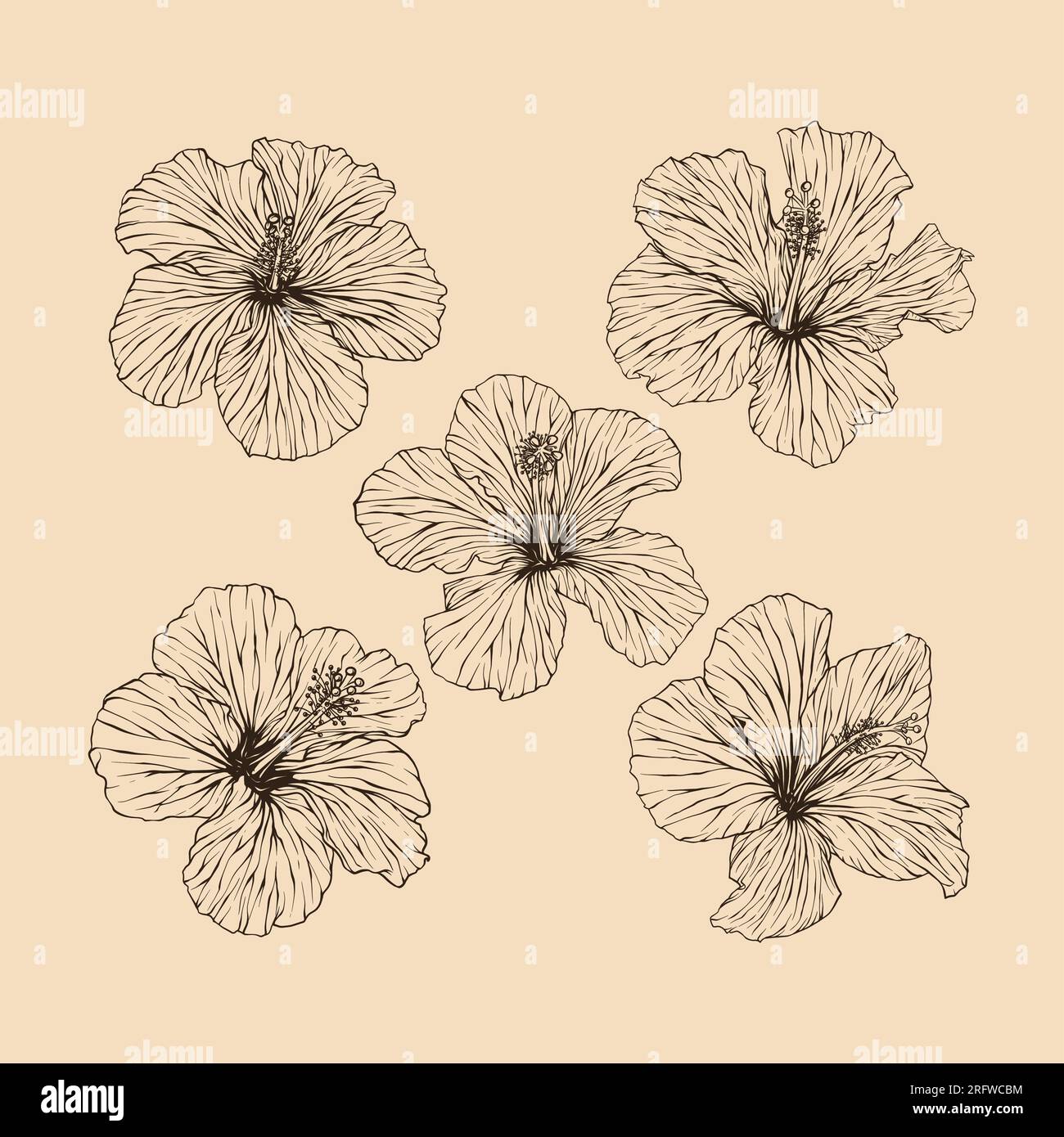 Définir l'illustration vectorielle de collection de fleurs hibiscus avec dessin au trait Illustration de Vecteur