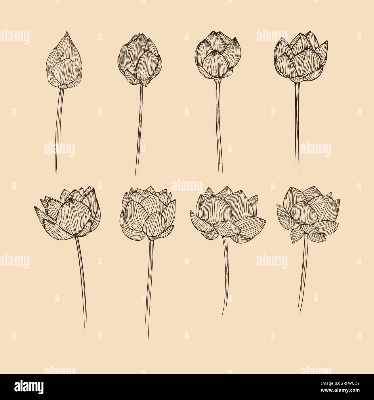 Définir illustration vectorielle de collection de fleurs de Lotus avec dessin au trait Illustration de Vecteur
