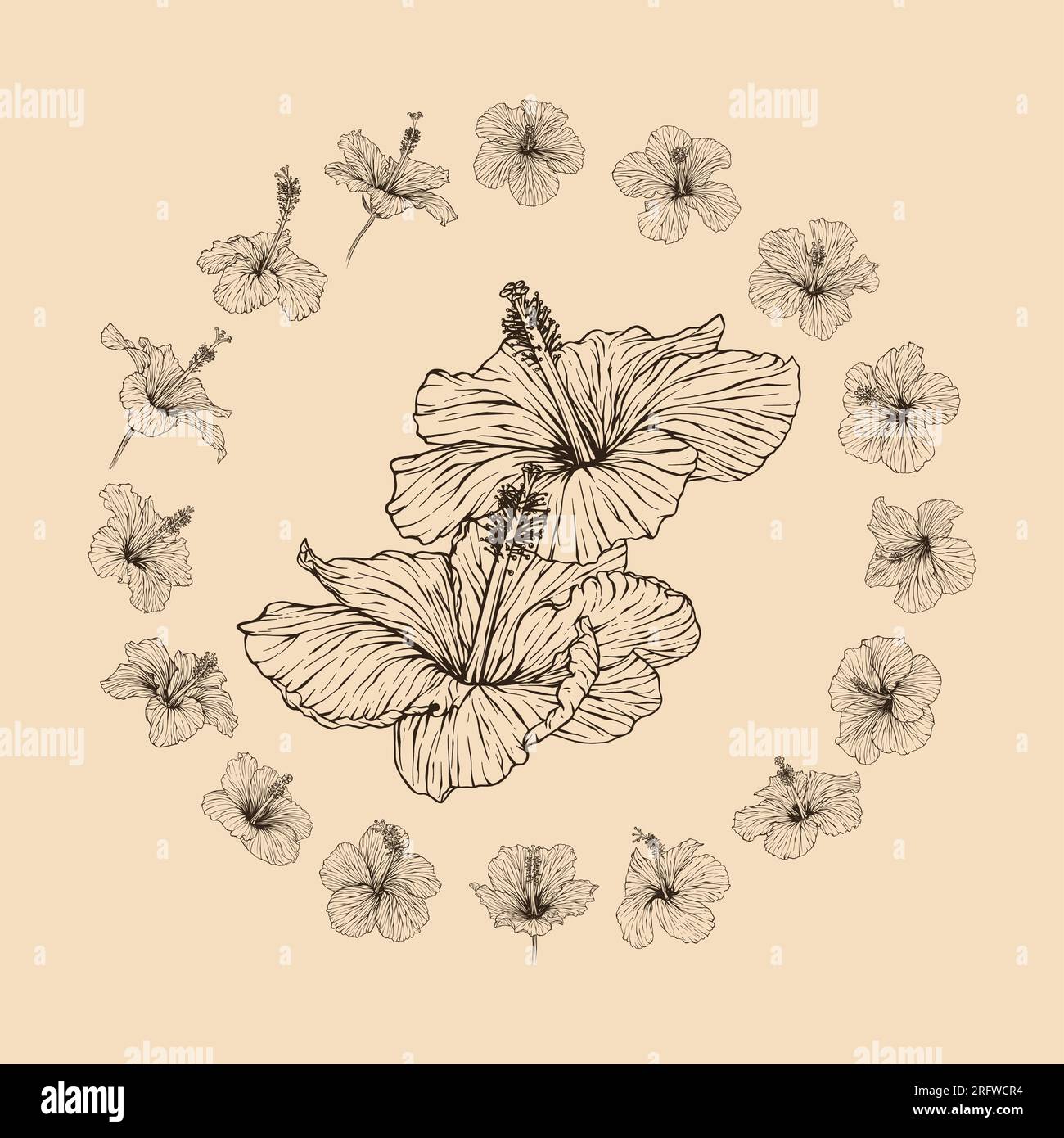 Définir l'illustration vectorielle de collection de fleurs hibiscus avec dessin au trait Illustration de Vecteur