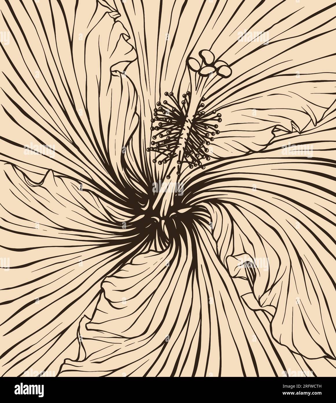 Illustration vectorielle de fleur d'hibiscus de fond avec dessin au trait Illustration de Vecteur