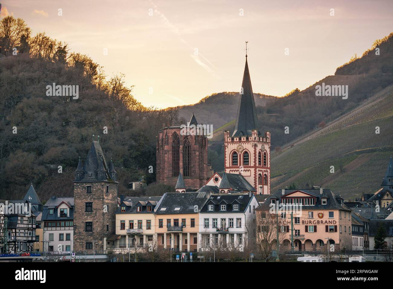 Vue à travers le Rhin à Bacharach, petite ville historique en Allemagne, Mainz Bingen. Château, église et vignes. Coucher de soleil Banque D'Images