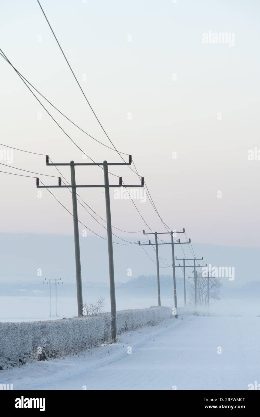 Poteaux télégraphiques disparaissant dans la distance Gog Magogs, lever de soleil d'hiver brumeux Banque D'Images