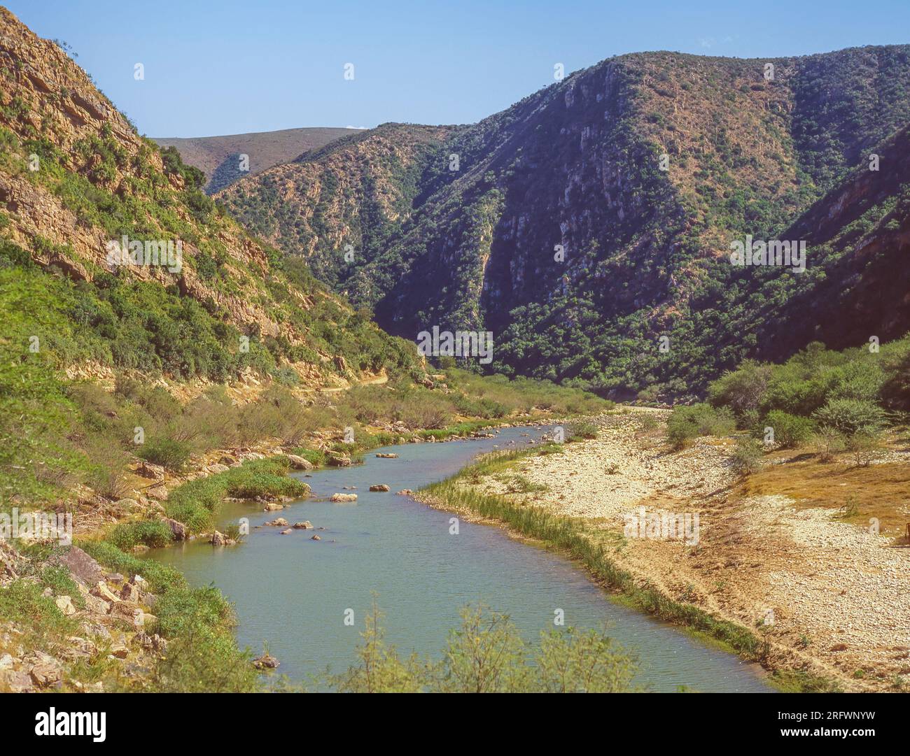La rivière Groot marque l'extrémité orientale de la région de Baviaanskloof (Vallée des babouins) dans la province du Cap oriental en Afrique du Sud. Banque D'Images