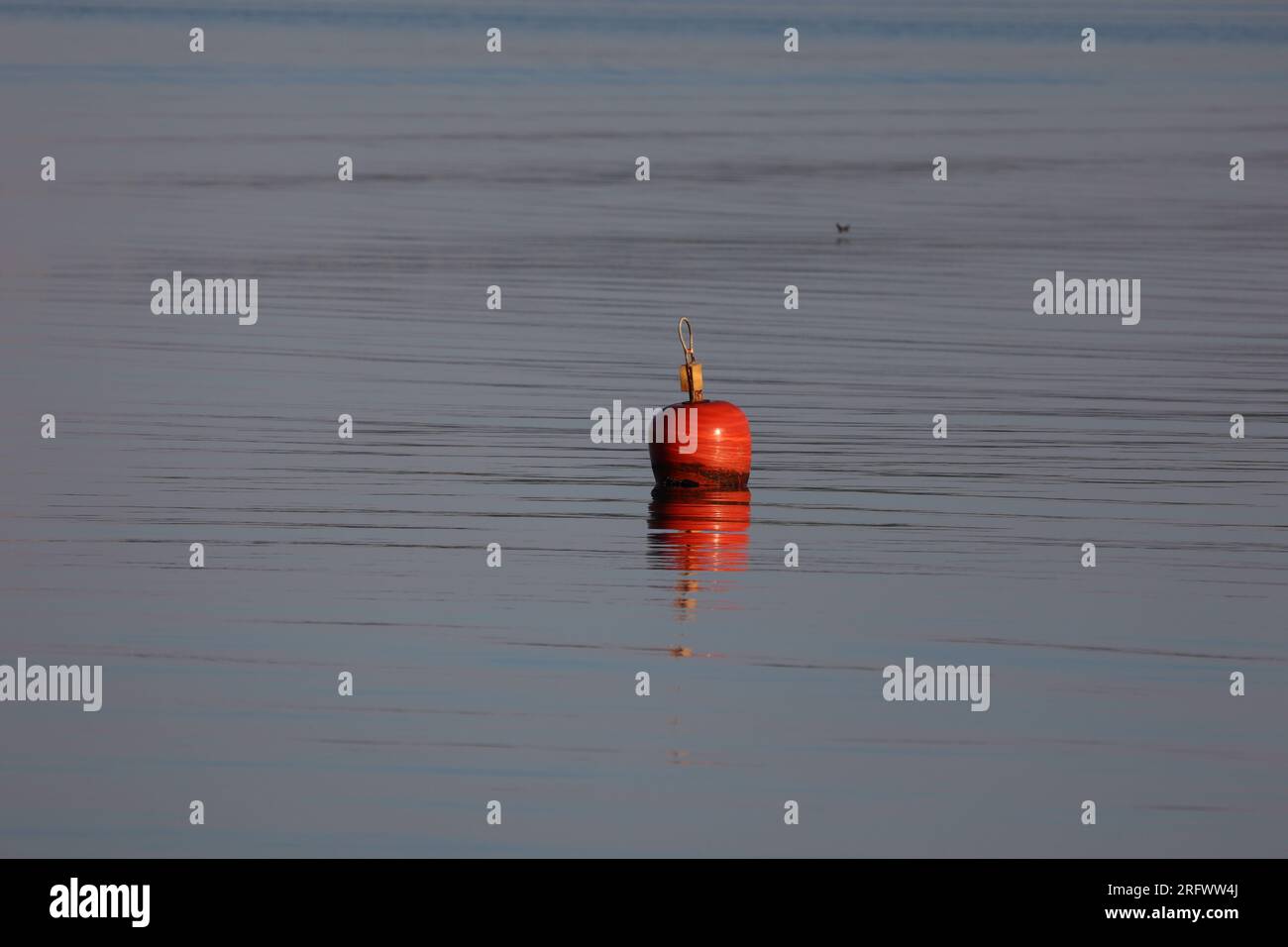 Bouées sur l'eau dans la mer. Banque D'Images