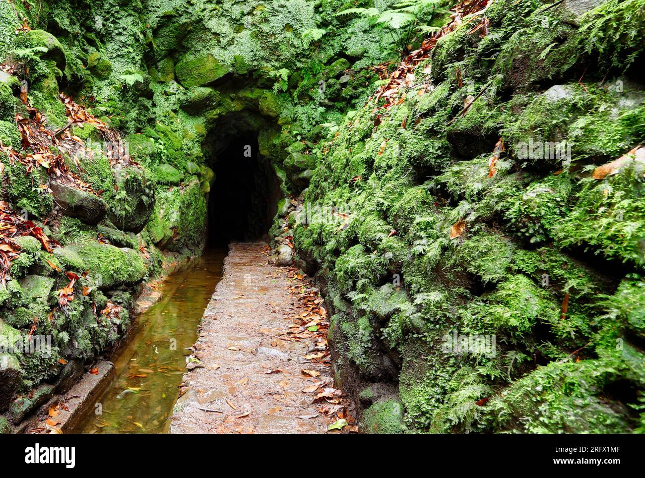 Sentier de randonnée et tunnel le long et à travers la montagne volcanique et sur les canaux d'irrigation typiques de Levada de l'île de Madère Banque D'Images
