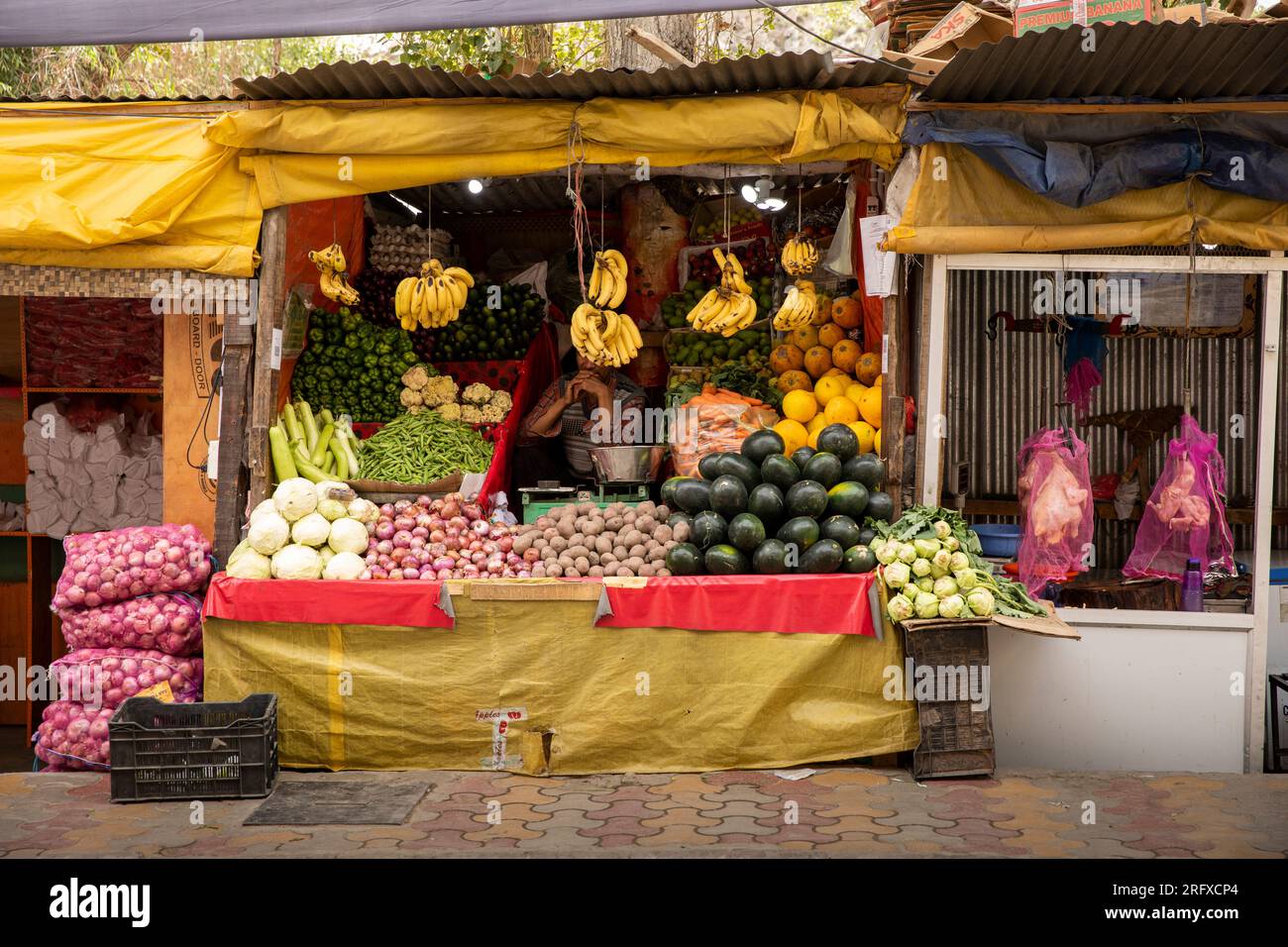 Inde, Jammu et Cachemire, Kargil, bazar, étal de fruits Banque D'Images