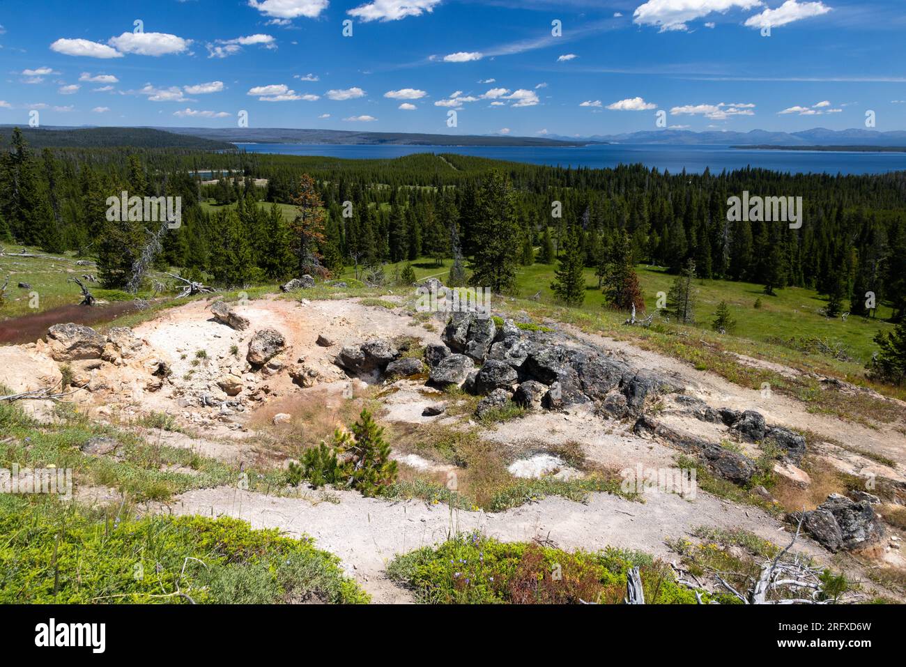 Petites caractéristiques thermales au sommet d'une colline surplombant le lac Yellowstone le long du Lake Overlook Trail. Parc national de Yellowstone, Wyoming Banque D'Images