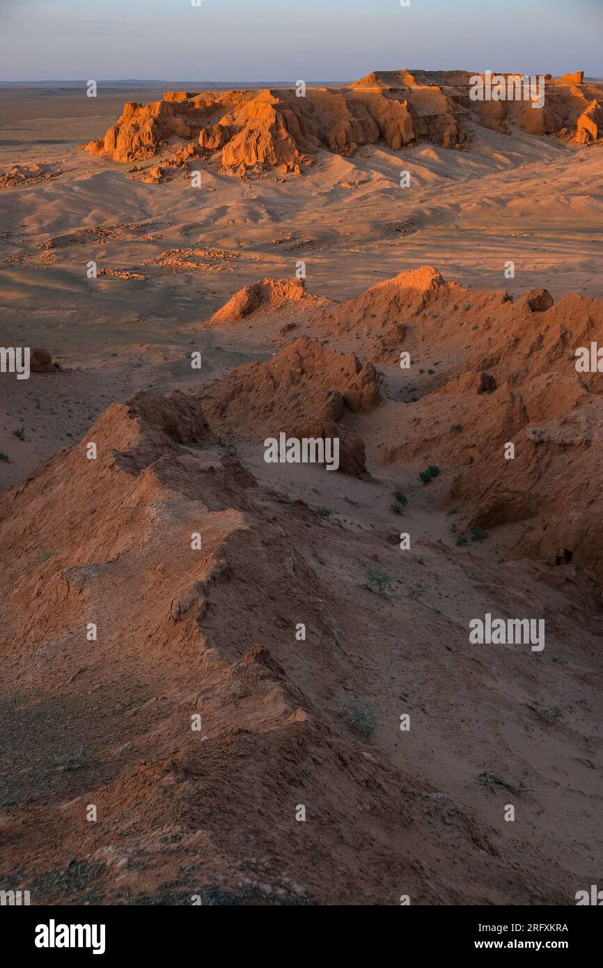Les falaises flambantes aussi connues sous le nom de Bayanzag dans le désert de Gobi en Mongolie. Banque D'Images