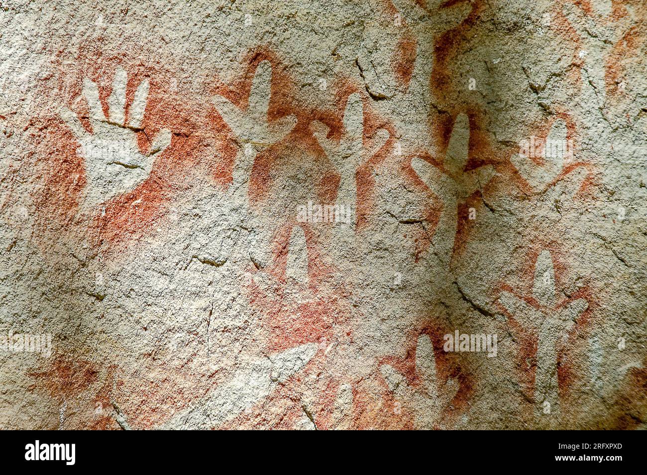 Peintures aborigènes vieilles de 3500 ans au parc national de Carnarvon « The Gallery », Queenslandf, Australie. Banque D'Images