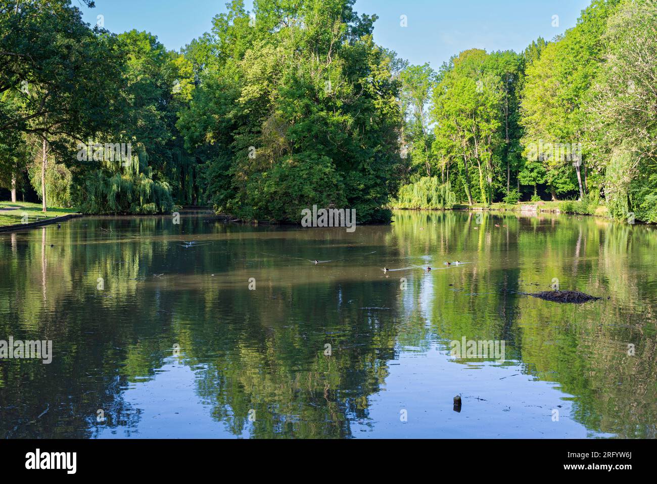 bois pittoresques et luxuriants entourant l'étang du parc macquer à gressy france Banque D'Images